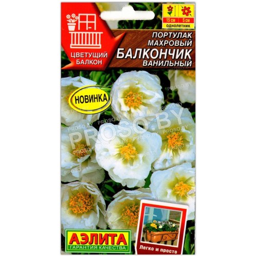 Портулак махровый Балкончик ванильный