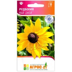 Рудбекия Май джой