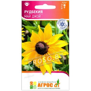 Рудбекия Май джой