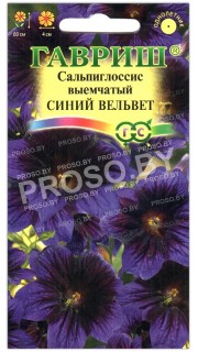 Сальпиглоссис выемчатый Синий вельвет