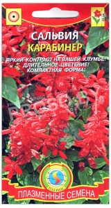 Сальвия Карабинер