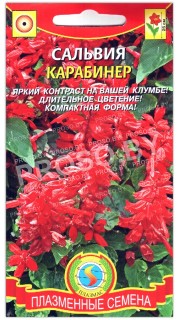 Сальвия Карабинер