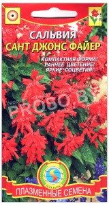Сальвия Сант джонс файер