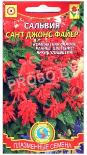 Сальвия Сант джонс файер