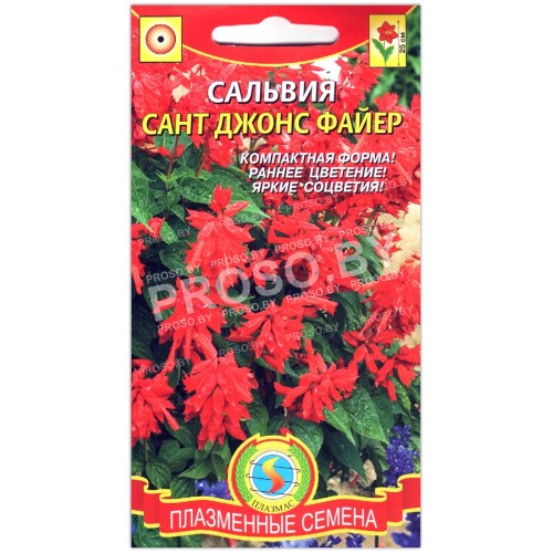 Сальвия Сант джонс файер
