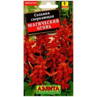 Сальвия сверкающая Магический огонь