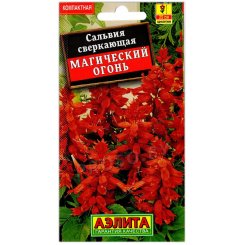 Сальвия сверкающая Магический огонь