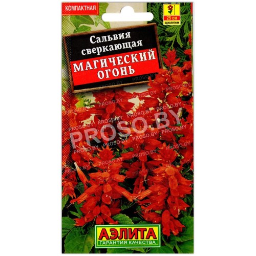 Сальвия сверкающая Магический огонь