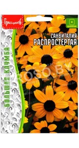 Санвиталия Распростертая