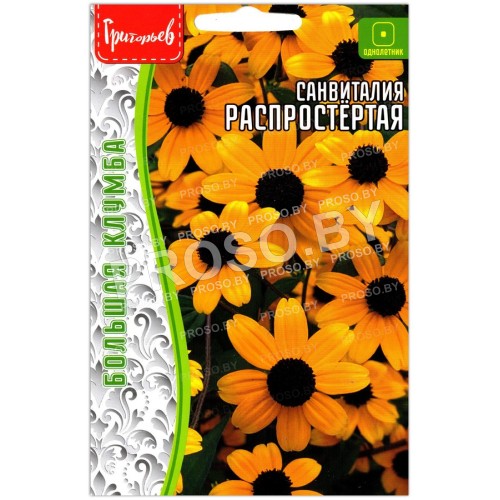 Санвиталия Распростертая