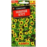 Санвиталия Золотой куст