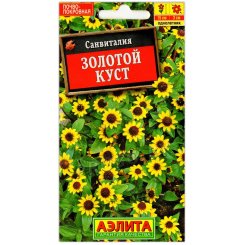 Санвиталия Золотой куст