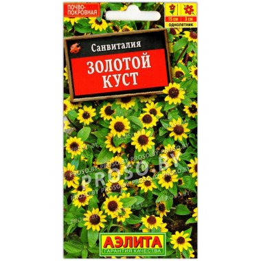 Санвиталия Золотой куст