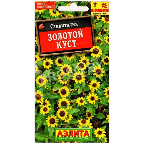 Санвиталия Золотой куст