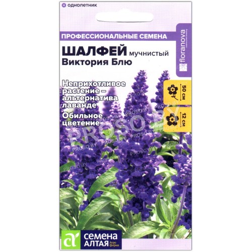 Шалфей мучнистый Виктория блю