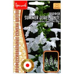 Шалфей Summer jewel white