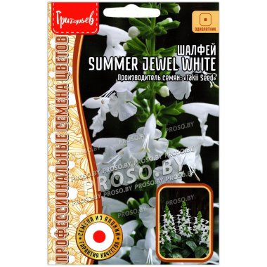 Шалфей Summer jewel white