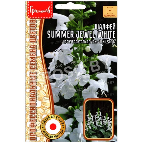 Шалфей Summer jewel white