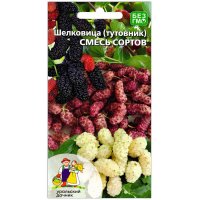 Шелковица (тутовник) Смесь сортов
