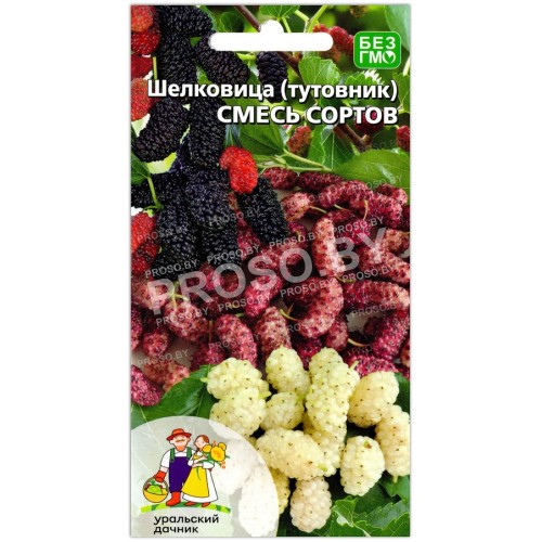 Шелковица (тутовник) Смесь сортов