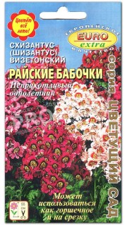 Схизантус Райские бабочки