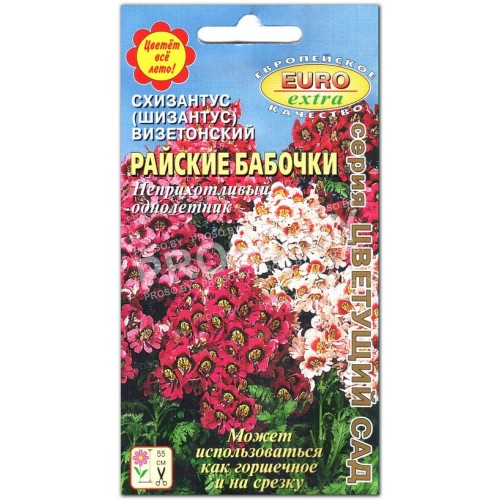 Схизантус Райские бабочки