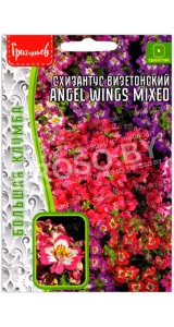 Схизантус визетонский Angel wings mixed