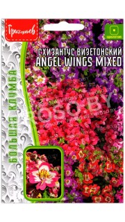 Схизантус визетонский Angel wings mixed