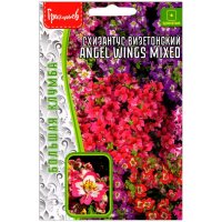 Схизантус визетонский Angel wings mixed