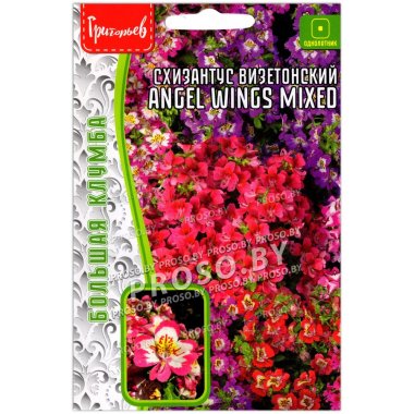 Схизантус визетонский Angel wings mixed