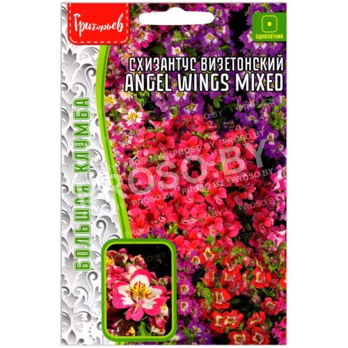 Схизантус визетонский Angel wings mixed