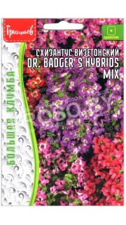 Схизантус визетонский Dr. Badger's hybrids mix