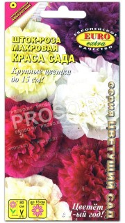 Шток-роза Краса сада, смесь