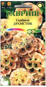 Скабиоза Драмстик