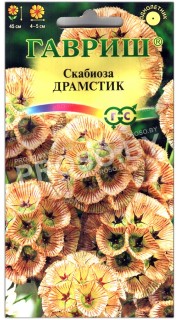 Скабиоза Драмстик