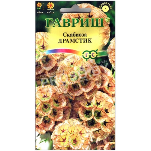 Скабиоза Драмстик