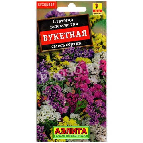 Статица Букетная, смесь