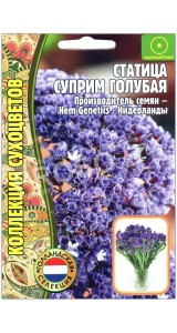 Статица Суприм голубая