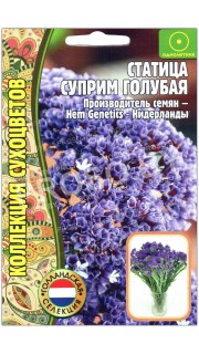 Статица Суприм голубая