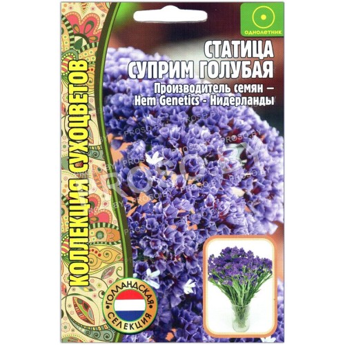 Статица Суприм голубая