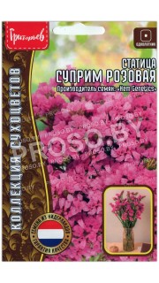 Статица Суприм розовая