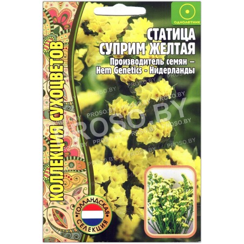 Статица Суприм желтая