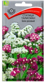 Статица талисман Бело-розовый