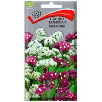 Статица талисман Бело-розовый