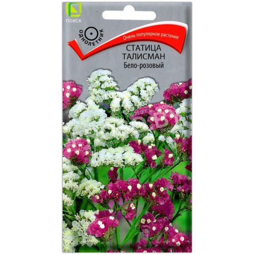 Статица талисман Бело-розовый