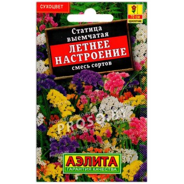 Статица выемчатая Летнее настроение, смесь