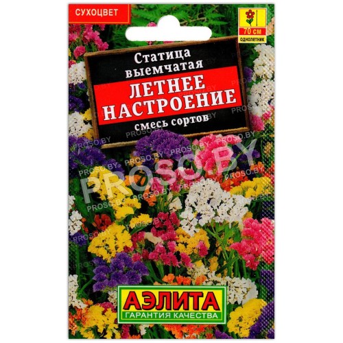 Статица выемчатая Летнее настроение, смесь