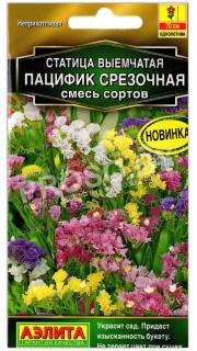 Статица выемчатая Пацифик смесь сортов