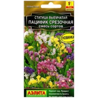 Статица выемчатая Пацифик смесь сортов
