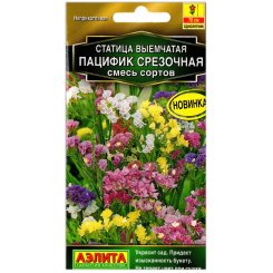 Статица выемчатая Пацифик смесь сортов